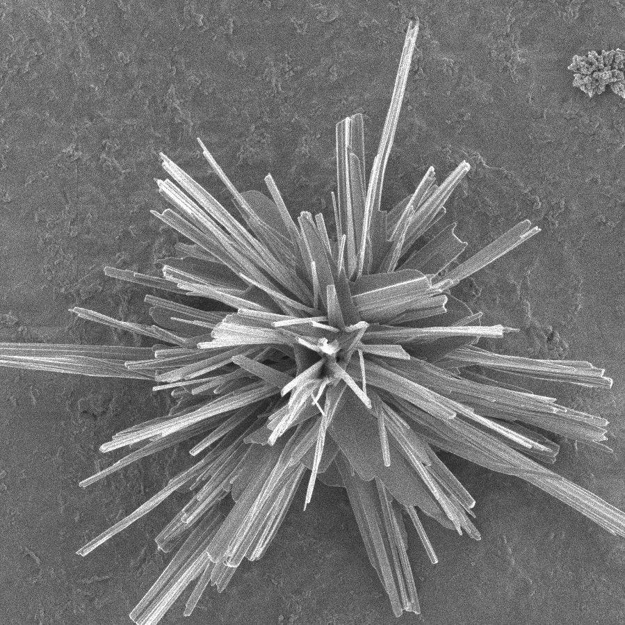 Copper catalyst nanostructures.