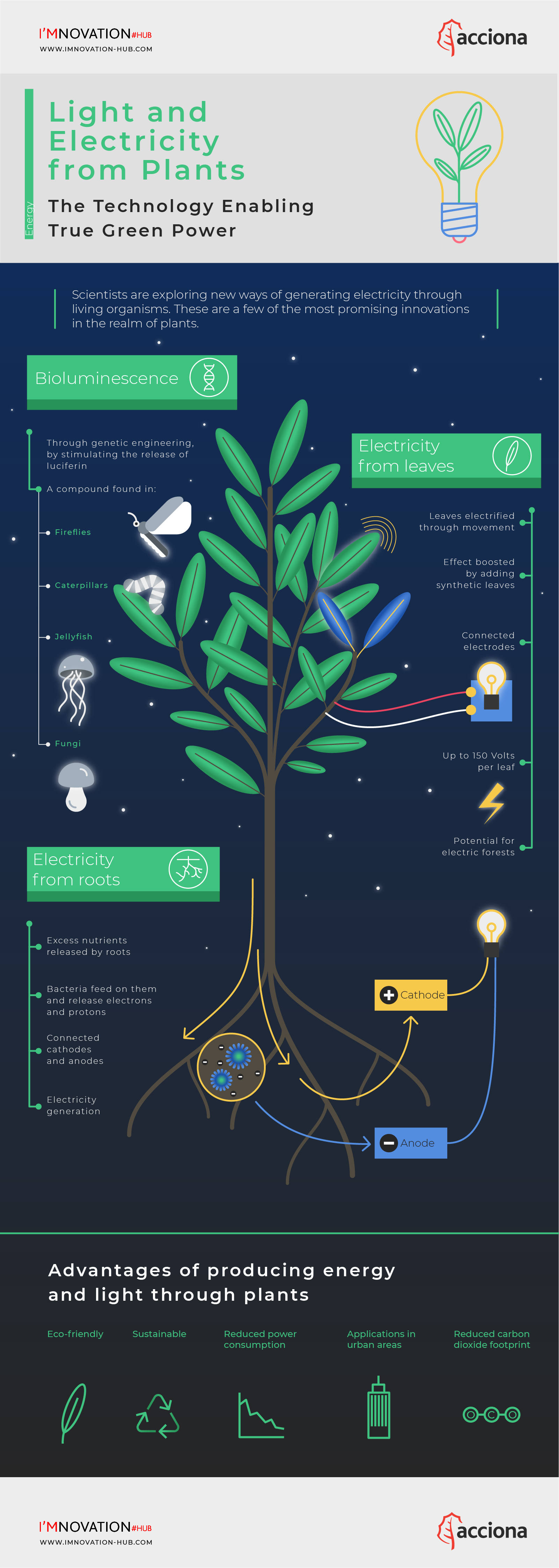 infografia