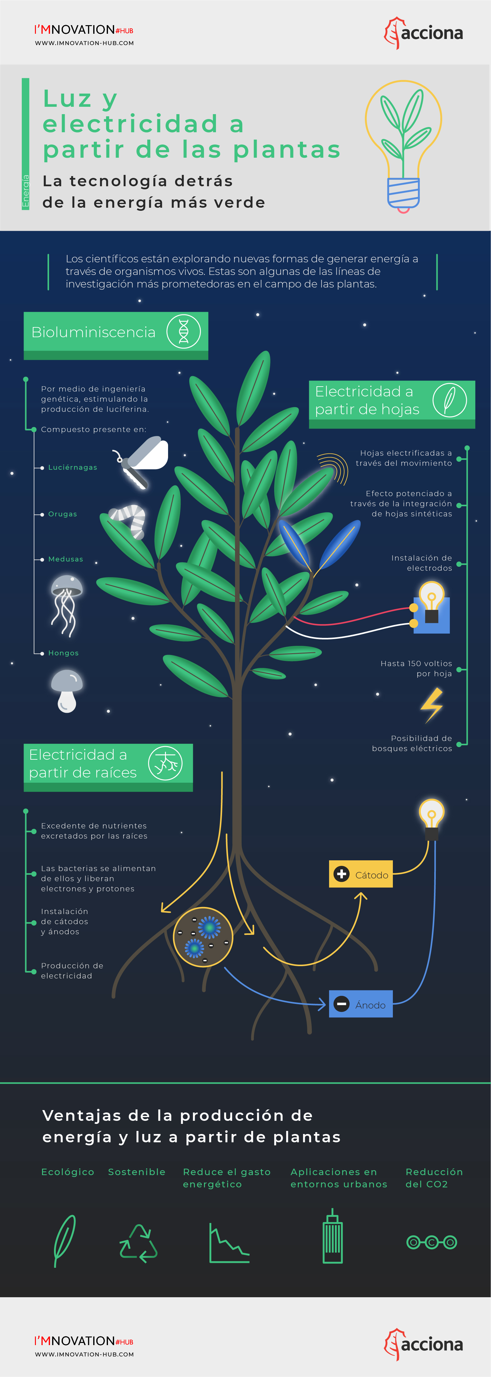 infografia